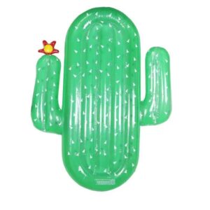 37f9280627f5f308023011c06de2a59e PVC Inflatable Cactus Pool Float