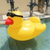 Inflatable Sunglasses Duck Floating Lounger