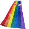 PVC Kids Rainbow Outdoor Water Slide