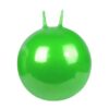 Inflatable Jumping Ball Yoga & Fitness Ball